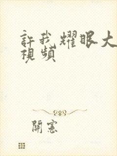 许我耀眼大结局视频