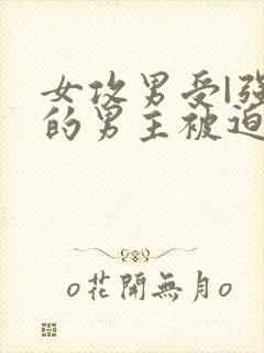 女攻男受|强大的男主被迫成m调教