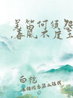 羌笛何须怨杨柳,春风不度玉门关什么意思