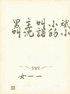 男主叫小斌女主叫沈诺的小说