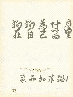 狗狗为什么要尿在自己窝里