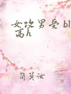 女攻男受 bl 高h