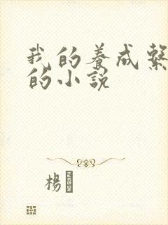 我的养成系女友的小说