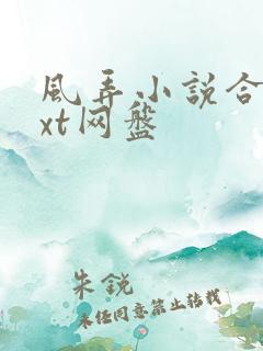 风弄小说合集txt网盘