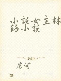 小说女主林筱凡的小说