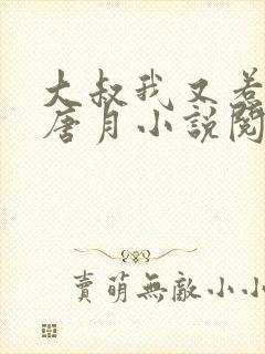 大叔我又惹祸了唐月小说阅读全文