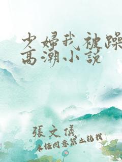 少妇我被躁爽到高潮小说