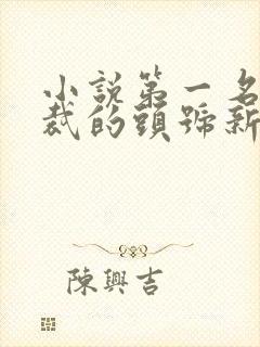 小说第一名媛总裁的头号新妻