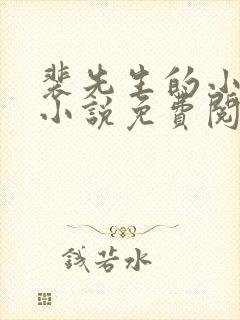 裴先生的小可怜小说免费阅读全文