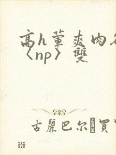 高h荤爽肉欲文〈np〉双