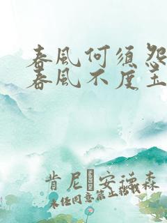 春风何须怨杨柳春风不度玉门关的意思