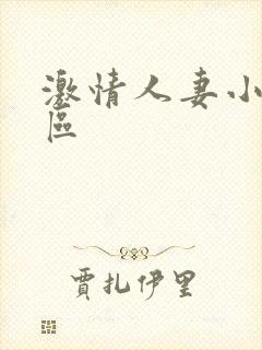 激情人妻小说二区