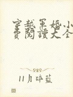 穿越军婚小说免费阅读大全