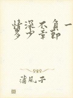 情深不负一共有多少章节