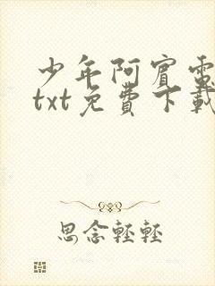 少年阿宾电子书txt免费下载