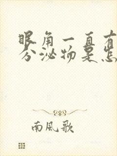 眼角一直有白色分泌物是怎么回事