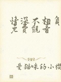 情深不相负短剧免费观看