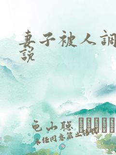 妻子被人调教小说