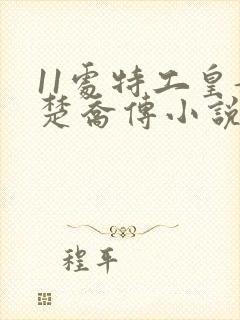 11处特工皇妃楚乔传小说免费