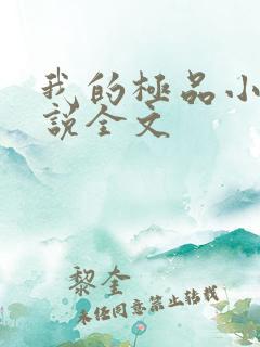 我的极品小姨小说全文