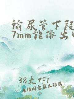 输尿管下段结石7mm能排出吗