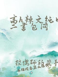 高h辣文纯肉第二书包网