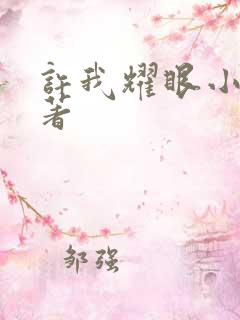 许我耀眼小说原著