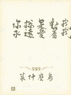 你总是对我说你永远爱着我什么歌