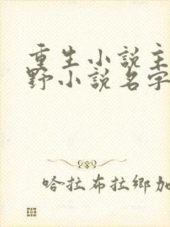重生小说主角陆野小说名字