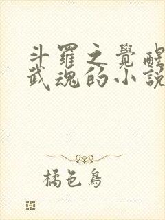 斗罗之觉醒三生武魂的小说