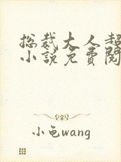 总裁大人超给力小说免费阅读全文