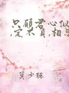只愿君心似我心,定不负,相思意