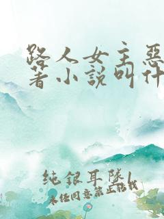 路人女主恶堕原著小说叫什么