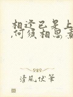 相逢已是上上签,何须相思煮余年意思