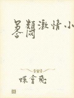 另类激情小说综合网