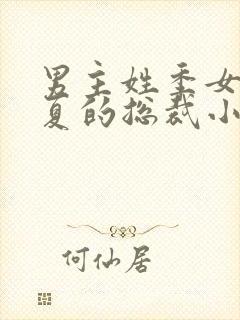 男主姓季女主姓夏的总裁小说