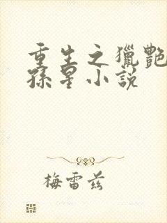 重生之猎艳后宫孙星小说