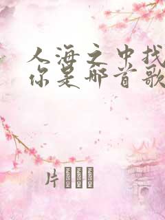 人海之中找到了你是哪首歌的歌词