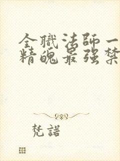 全职法师一天一精魄最强禁咒免费