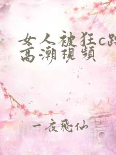 女人被狂c躁到高潮视频