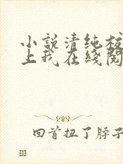 小说清纯校花爱上我在线阅读