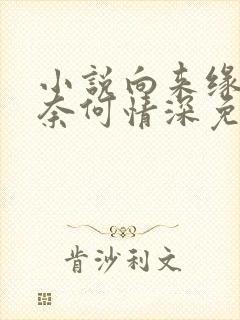 小说向来缘浅,奈何情深免费阅读