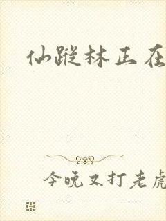 仙踪林正在播放