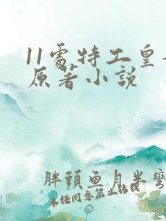 11处特工皇妃原著小说