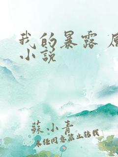 我的暴露 原著小说