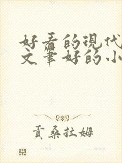 好看的现代言情文笔好的小说