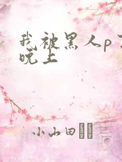 我被黑人p了一晚上