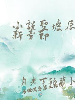 小说圣墟辰东最新章节