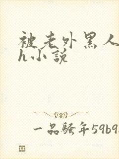 被老外黑人宫交h小说