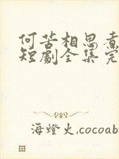 何苦相思煮余年短剧全集完整版